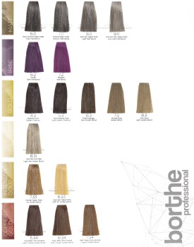 Borthe Pro Hair Colour 7.3 - image 2