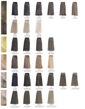 Borthe Pro Hair Colour 8.1 - image 2