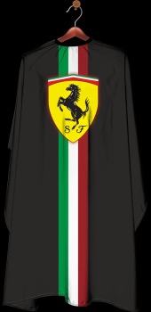 Ebs Barber Cape Ebs-04 - image 2